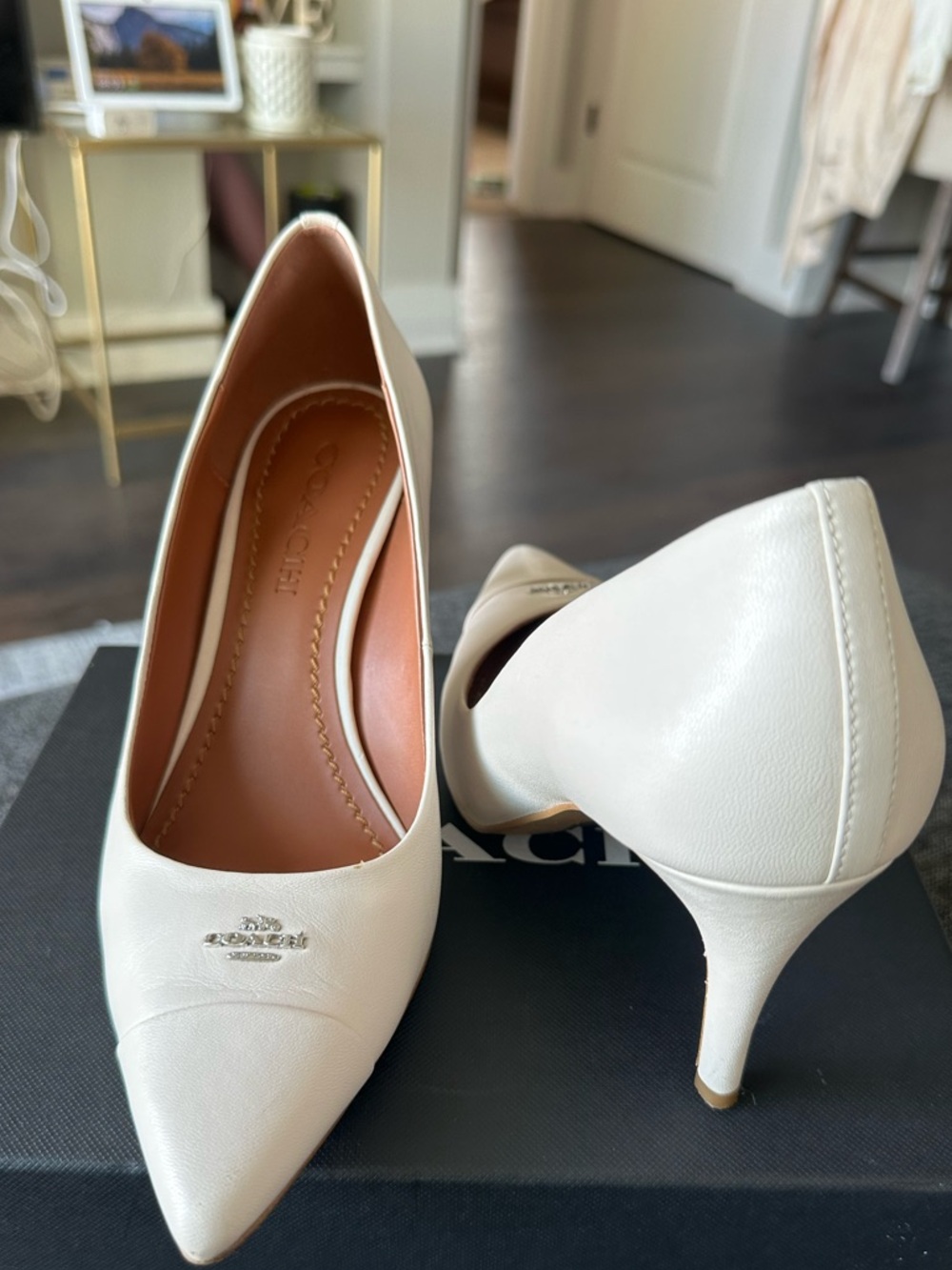 Coach Ivory Pointed-Toe Heel Pumps